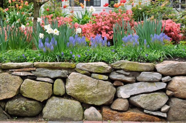 Stone Wall Hardscaping in Bowie