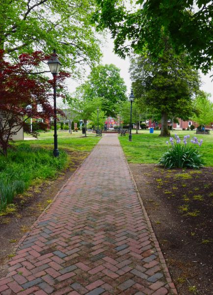 Brick Pathway Repair in Bowie