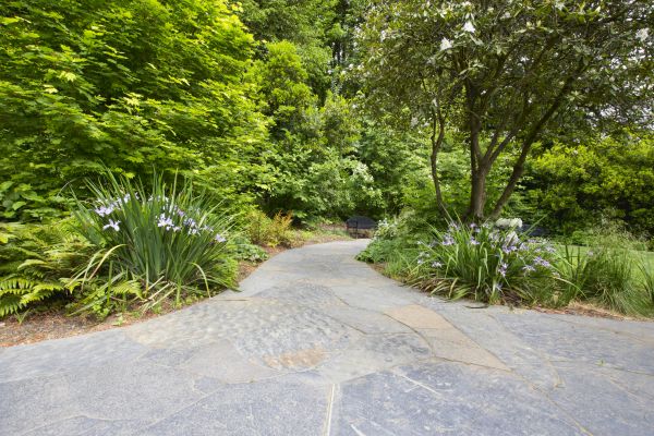 Stone Hardscape Service in Bowie