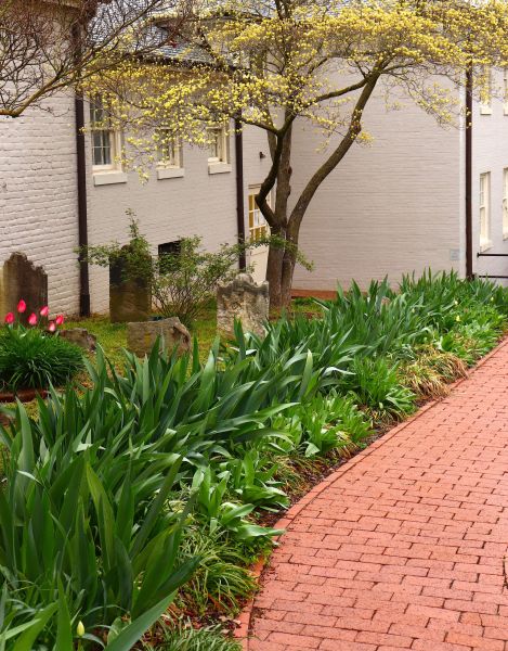 Brick Flatwork Repair in Bowie